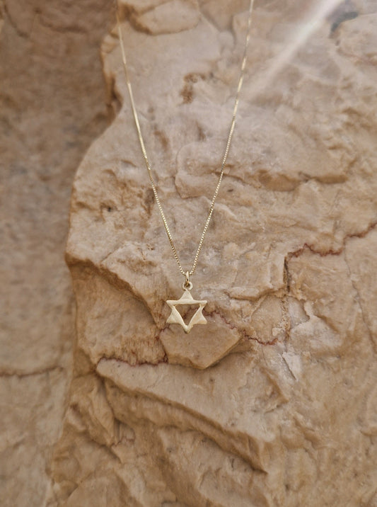 Star of David Petit Necklace in 14k