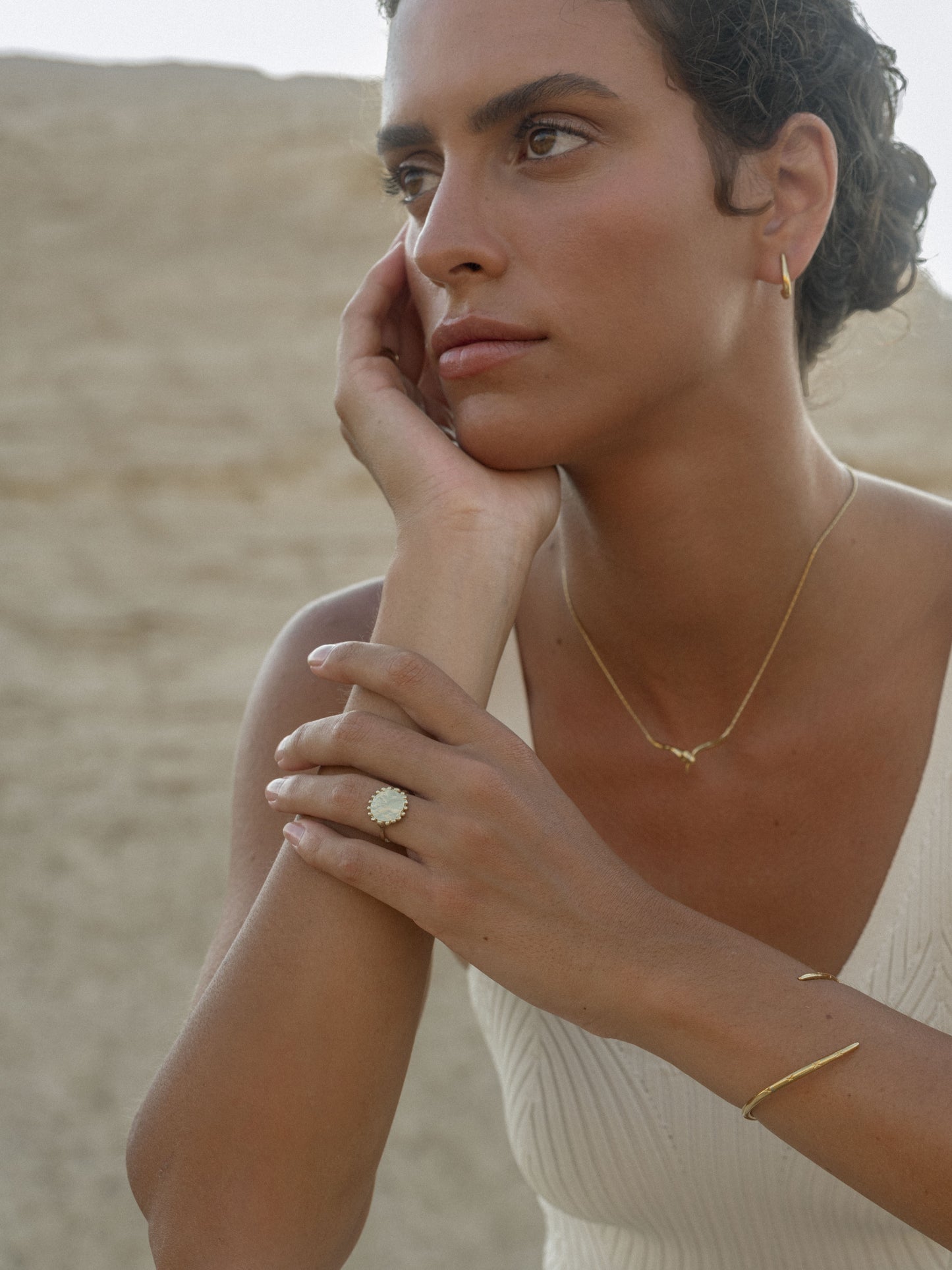 Sun on Mars Signet Ring in 14K