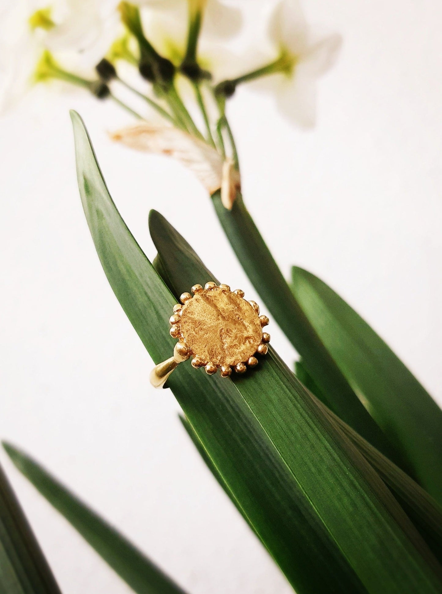 Sun on Mars Signet Ring in 14K