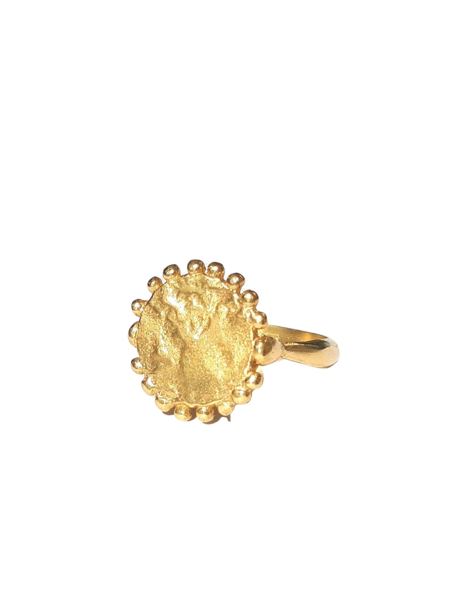 Sun on Mars Signet Ring in 14K