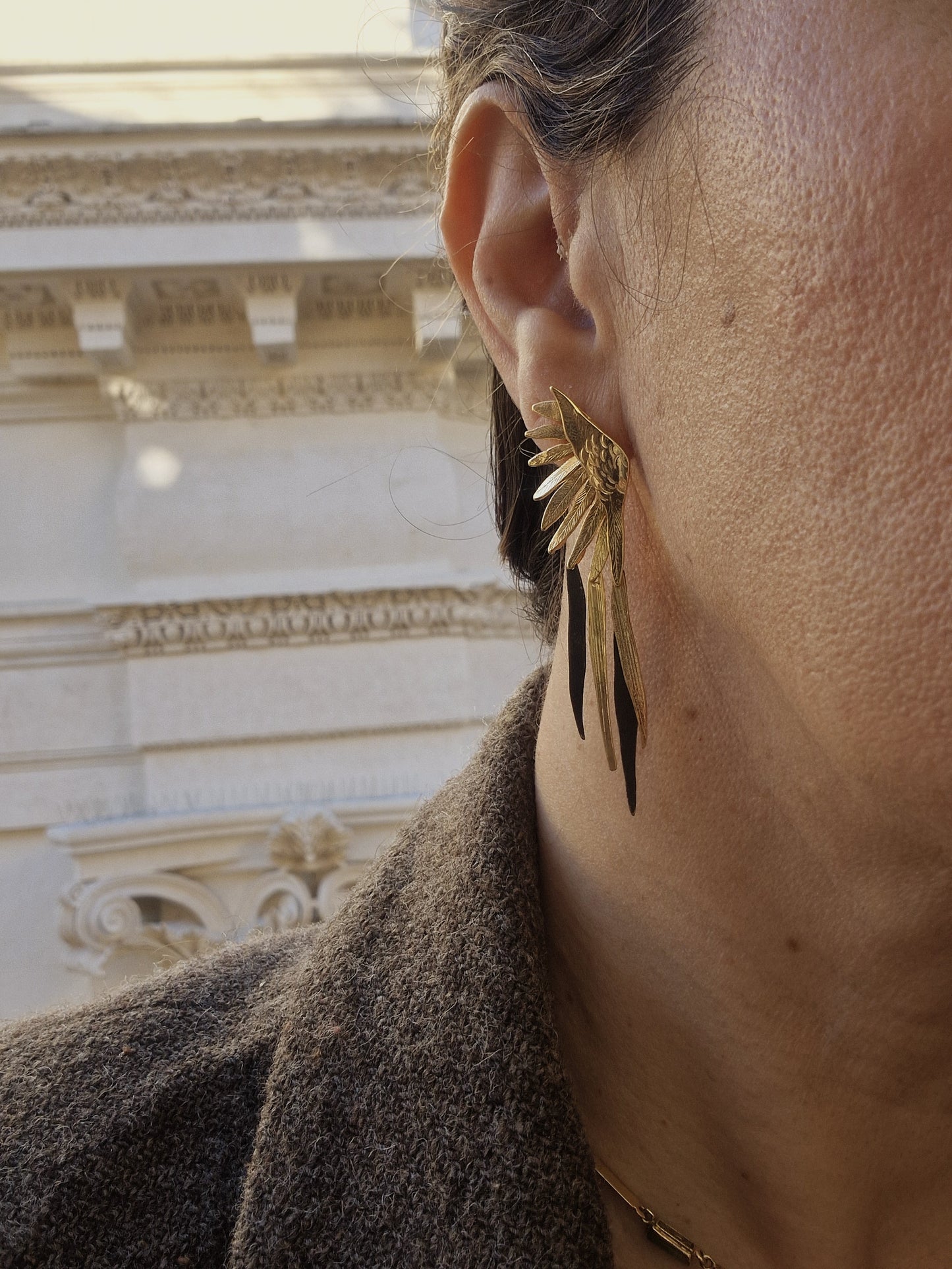 עגילי פיניקס