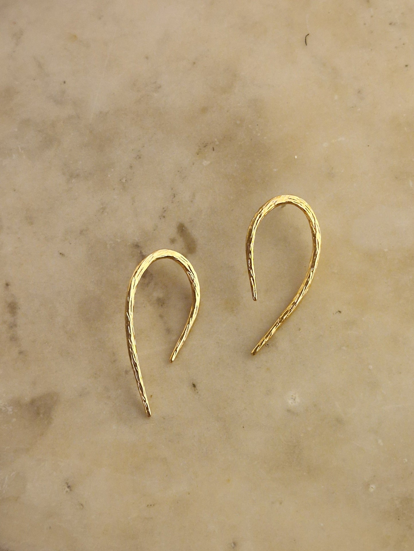 עגילי שורשים