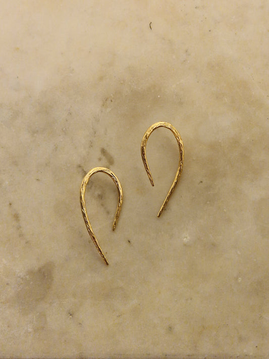 עגילי שורשים