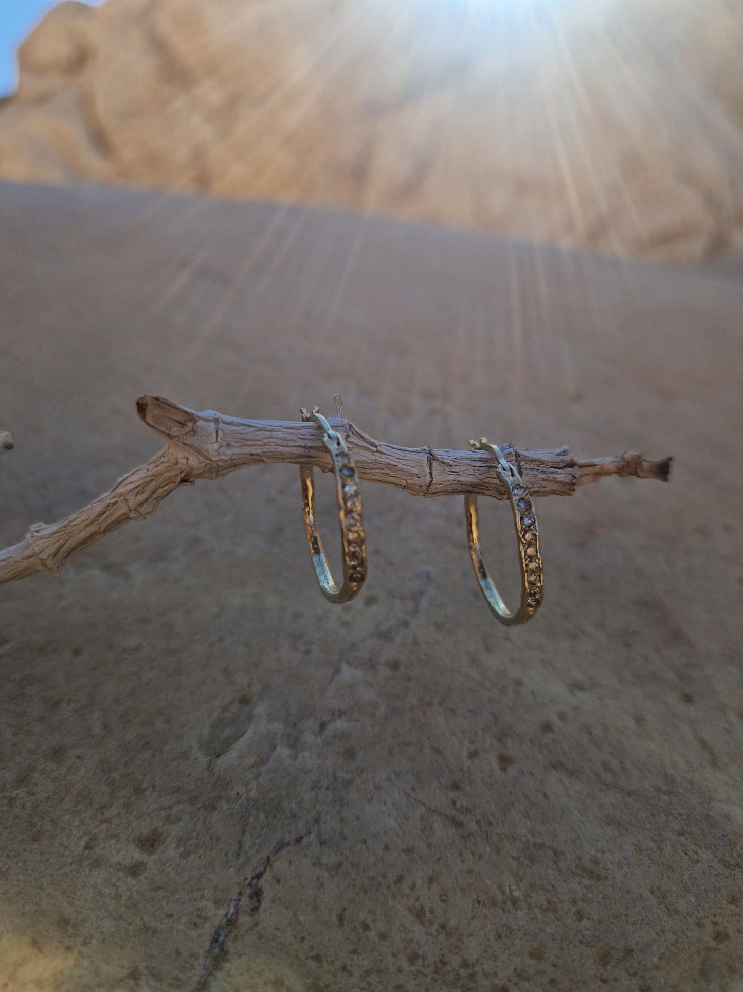 עגילי תרמיל משובצים יהלומים זהב 14K