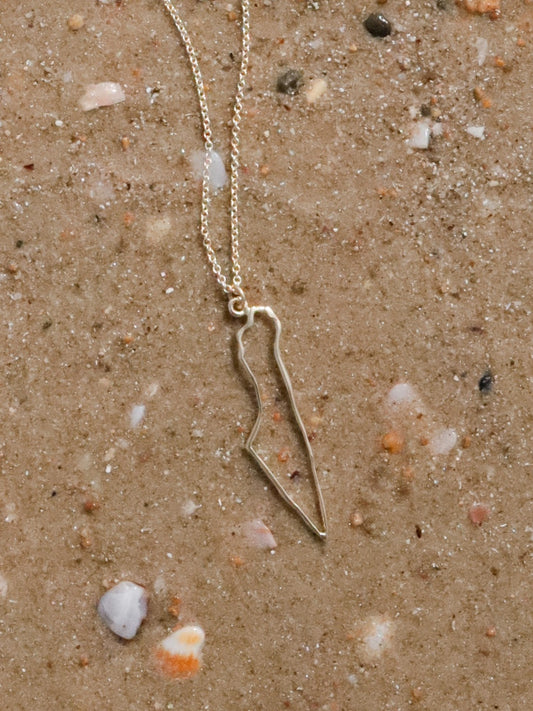 Map of Israel Outline Necklace in 14k